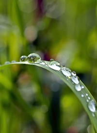 zertifiziert zertifiziert