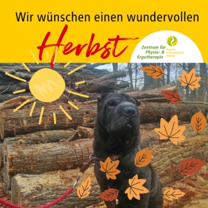 Herbststimmung in der Praxis