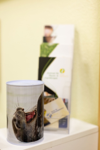 Praxisräume Ergotherapie Rossla Praxisräume Ergotherapie Rossla