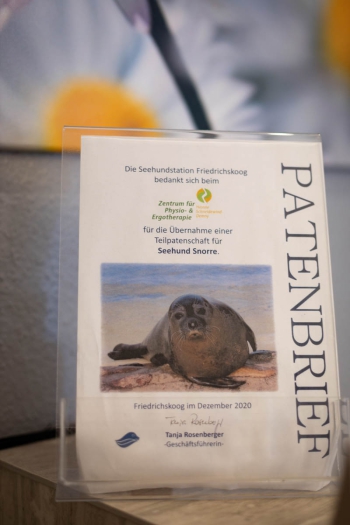 Praxis Sangerhausen 2025 Praxis Sangerhausen 2025