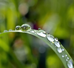 zertifiziert zertifiziert