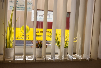 Zentrum für Physio- & Ergotherapie – Praxis Allstedt