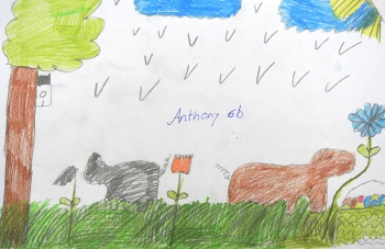 Frühlingsbild 09 Frühlingsbild 09