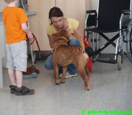 Daya Ausbildung mit Kind Daya Ausbildung mit Kind