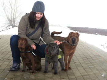 Winterspaziergang  Winterspaziergang