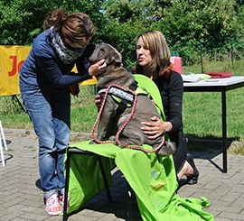 Ausbildung von Dinah Ausbildung von Dinah