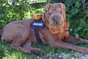 Schöner Schattenplatz Schöner Schattenplatz