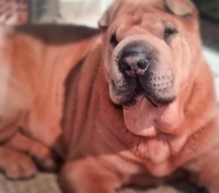 Frieda Januar 2020 Frieda Januar 2020