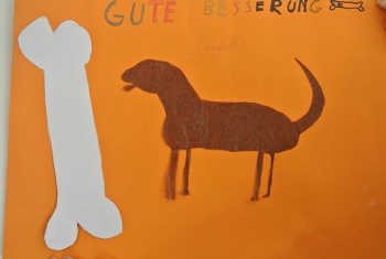 Gute Besserung Daya