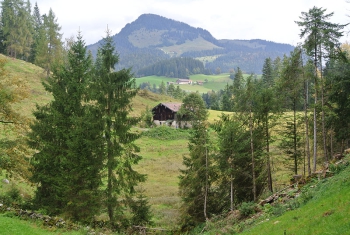 Auch Therapiebegleithunde brauchen einmal Urlaub