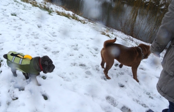 Winterspaziergang