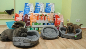 Osteraktion2017_Tierheim Sangerhausen Osteraktion2017_Tierheim Sangerhausen