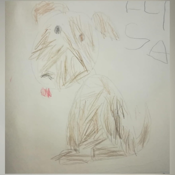 Hundegeschichte