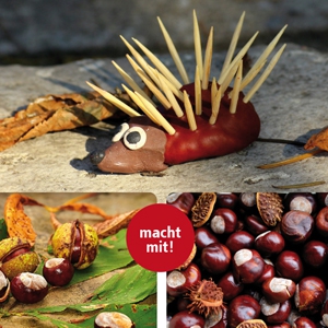 Herbst-AKTION Oktober 2021 - Kastanienfiguren