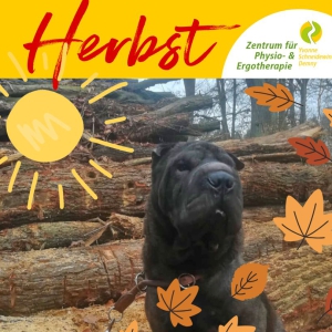 Wir wünschen Euch einen wundervollen Herbst. 